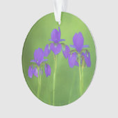 Paarse Iris Schilderij - Originele Bloem Kunst Ornament (voorkant)