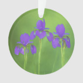 Paarse Iris Schilderij - Originele Bloem Kunst Ornament (voorkant)