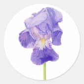 Paarse Iris Sticker (Voorkant)