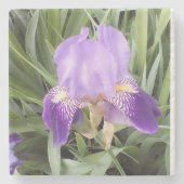 Paarse Iris StoneCoaster Stenen Onderzetter (Voorkant)