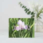 Paarse Iris Tafelnummer (Staand voorkant)