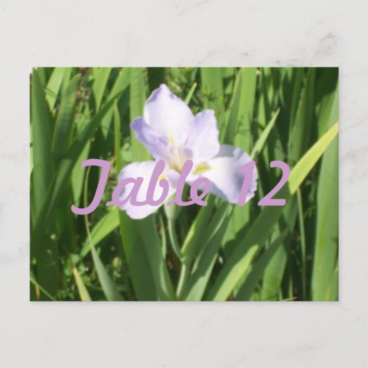 Paarse Iris Tafelnummer (Voorkant)
