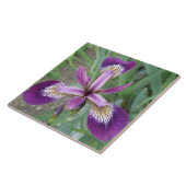 Paarse iris Tile Tegeltje (Zijkant)