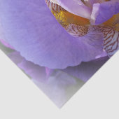 paarse iris tissuepapier (Detail)