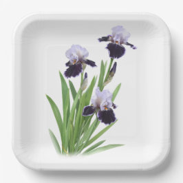 Paarse Iris Trio Botanische Kunst Papieren Bordje