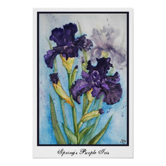Paarse Iris van de Lente Perfect Poster (Voorkant)