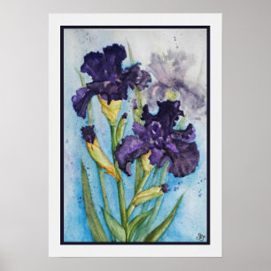 Paarse Iris van de Lente Poster