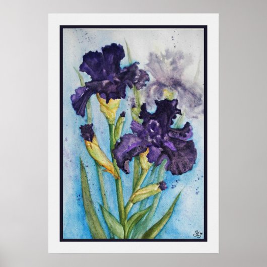 Paarse Iris van de Lente Poster (Voorkant)