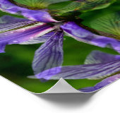 Paarse Iris ventilator Abstract Poster (Hoek)