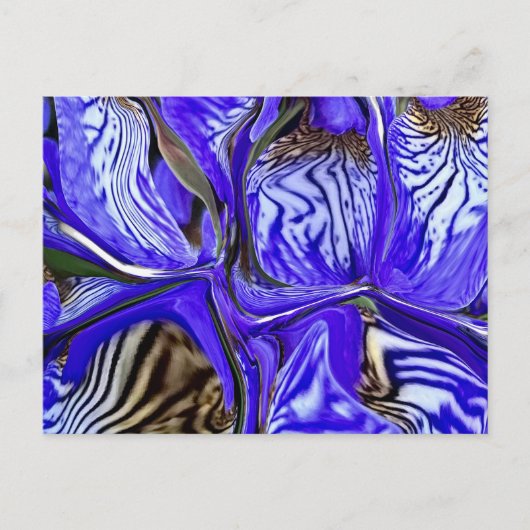 Paarse Iris-ventilator Briefkaart (Voorkant)