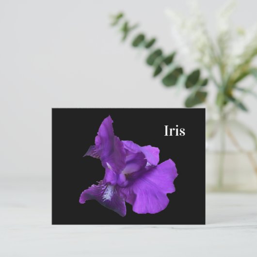 Paarse Iris-ventilator Briefkaart (Staand voorkant)