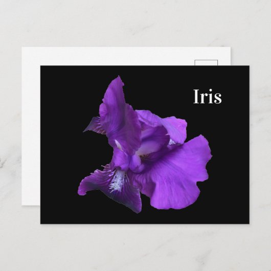 Paarse Iris-ventilator Briefkaart (Voorkant / Achterkant)