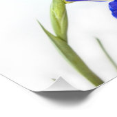 Paarse Iris-ventilator Foto Afdruk (Hoek)