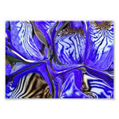 Paarse Iris-ventilator Foto Afdruk (Voorkant)