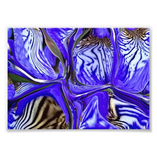 Paarse Iris-ventilator Foto Afdruk (Voorkant)