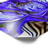 Paarse Iris-ventilator Foto Afdruk (Hoek)