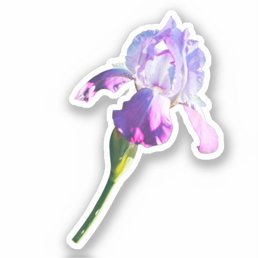 Paarse Iris-ventilator | Geboortedatum februari Sticker (Voorkant)