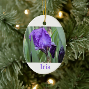 Paarse Iris-ventilator Keramisch Ornament