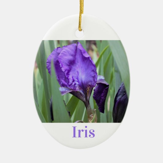 Paarse Iris-ventilator Keramisch Ornament (Voorkant)