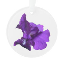 Paarse Iris-ventilator