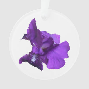 Paarse Iris-ventilator Ornament