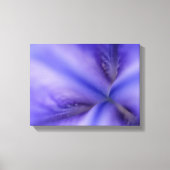 Paarse Iris-ventilator Sluiten Canvas Afdruk (Voorkant)