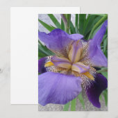 Paarse Iris ventilatorblanco Kaart (Voorkant / Achterkant)