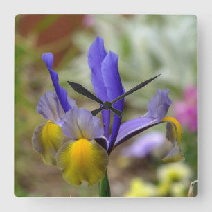 Paarse Iris-wandklok Vierkante Klok