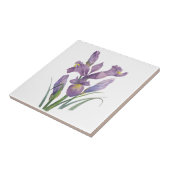 Paarse iris Waterverf botanische bloemkunst Tegeltje (Zijkant)