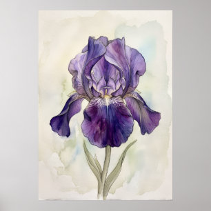 Paarse Iris Waterverf Kunstprint Botanische Bloe Poster