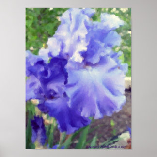 Paarse Iris-Waterverf Poster