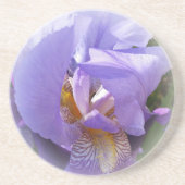 paarse iris zandsteen onderzetter (Voorkant)