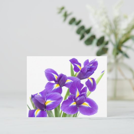 paarse irisbloem briefkaart (Staand voorkant)