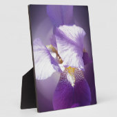 paarse irisbloem fotoplaat (Zijkant)