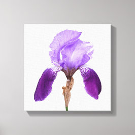  paarse irisbloem Moderne bloemenkunst Canvas Afdruk