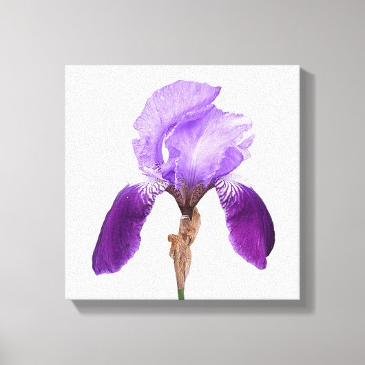 paarse irisbloem Moderne bloemenkunst Canvas Afdruk (Voorkant)