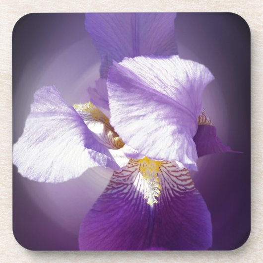 paarse irisbloem onderzetter (Voorkant)