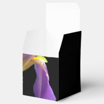  paarse irisbloem op zwarte achtergrond.