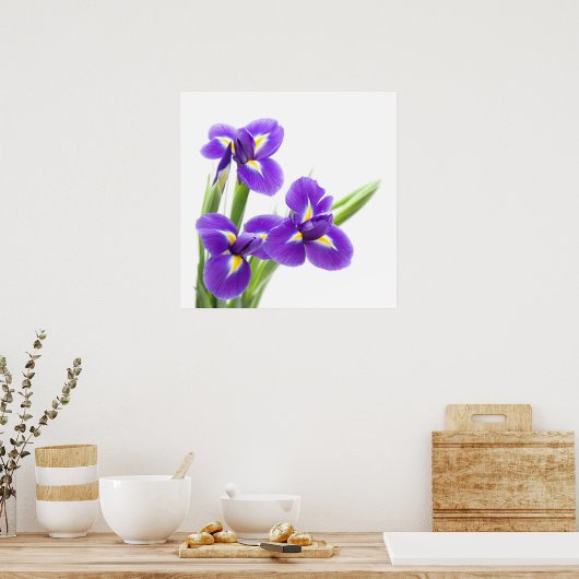 paarse irisbloem poster (Keuken)