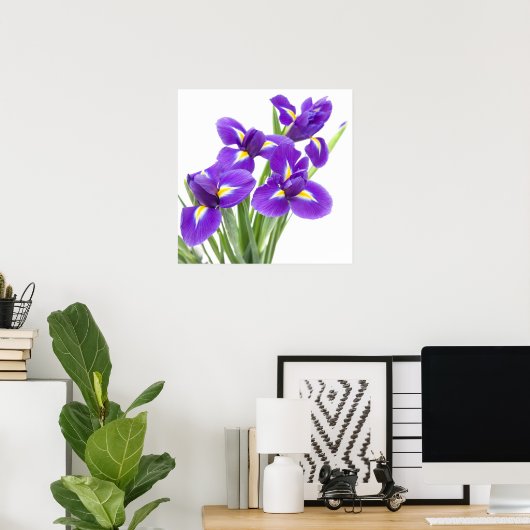 paarse irisbloem poster (Thuiskantoor)