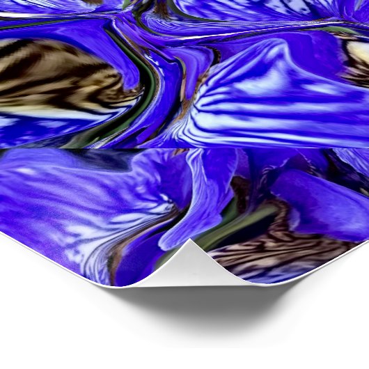 Paarse irisbloem / schuin / betegeld / perfect poster (Hoek)