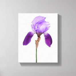 Paarse irisbloemen trendy boho bloemrijke glam mei canvas afdruk