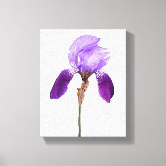 Paarse irisbloemen trendy boho bloemrijke glam mei canvas afdruk (Voorkant)
