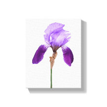 Paarse irisbloemen trendy boho bloemrijke glamour 