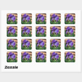 Paarse irisbloemen Vierkante Sticker (Vel)