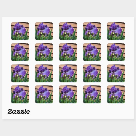  Paarse irisbloemen Vierkante Sticker (Vel)