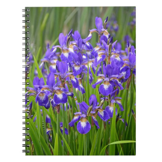 Paarse irisbloemtuin notitieboek (Voorkant)