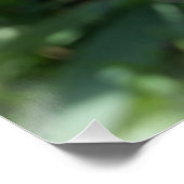 paarse irisbuis perfect poster (Hoek)