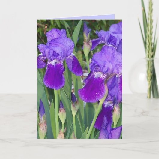 Paarse Irises Birthday Kaart (Voorkant)