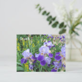 Paarse Irises Briefkaart (Staand voorkant)